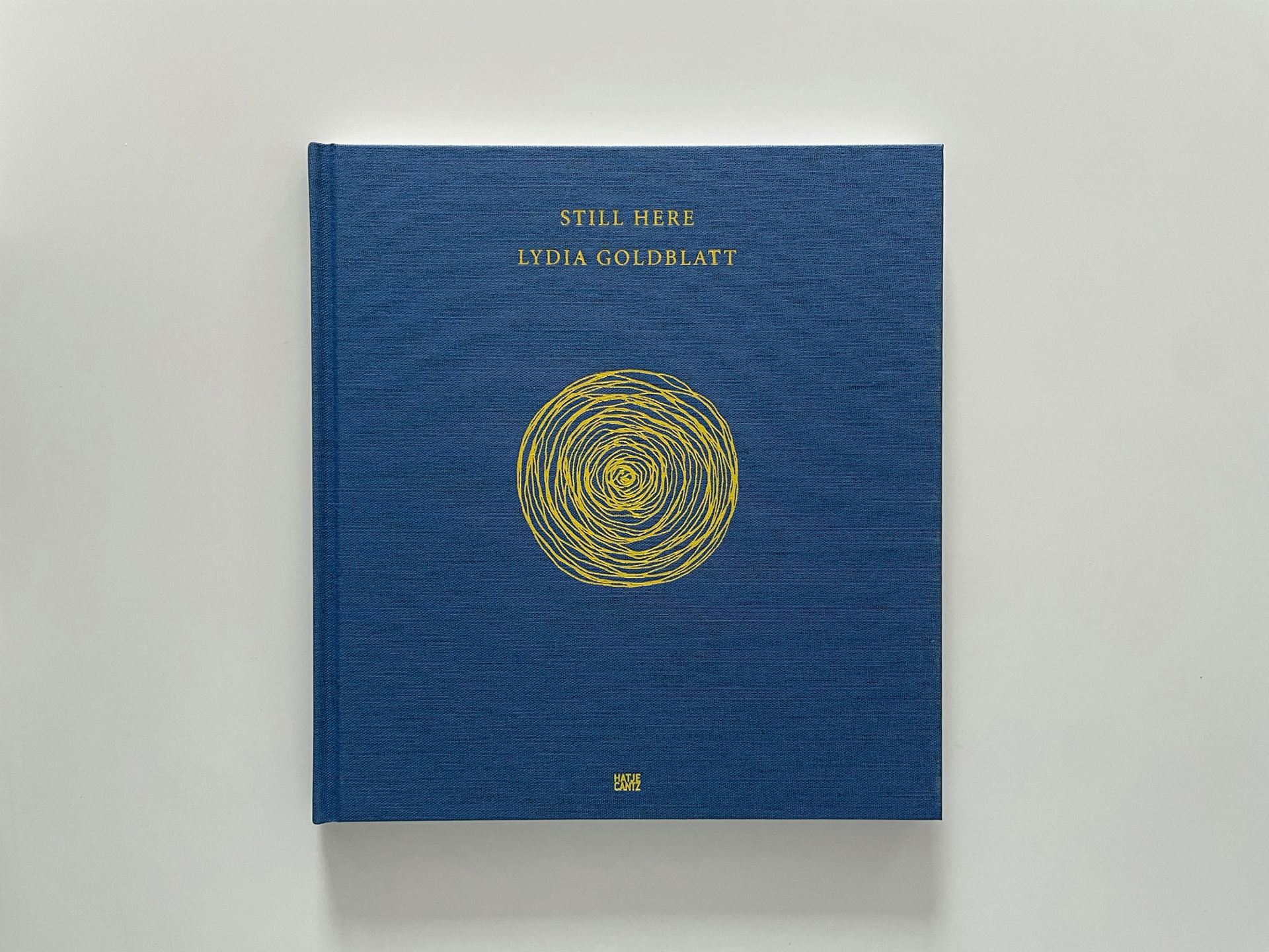 Still Here, published by Hatje Cantz, 2013. Texts by Christiane Monarchi and Lydia Goldblatt. Design by Tappin Gofton.